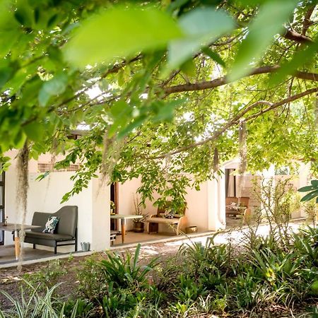 Bed and Breakfast Francines Venue Pty Ltd Hoedspruit Exterior foto